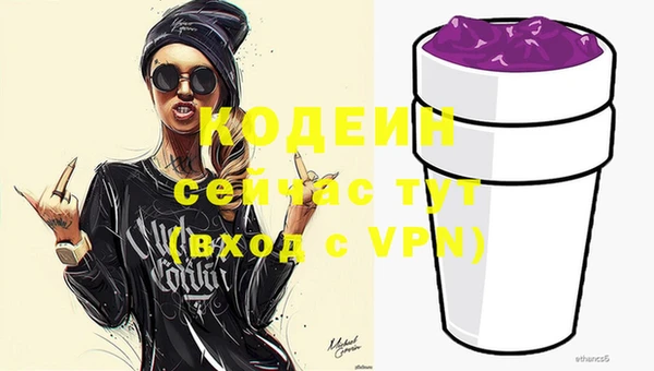 мдпв Горно-Алтайск