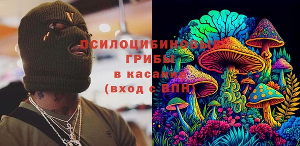 мдпв Горно-Алтайск