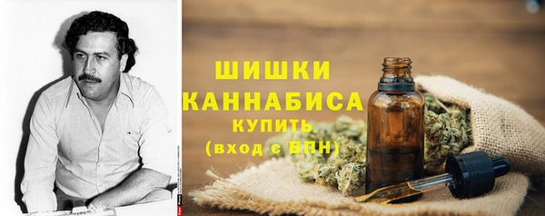 ГАЛЛЮЦИНОГЕННЫЕ ГРИБЫ Горнозаводск