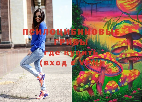 соль ск Горняк