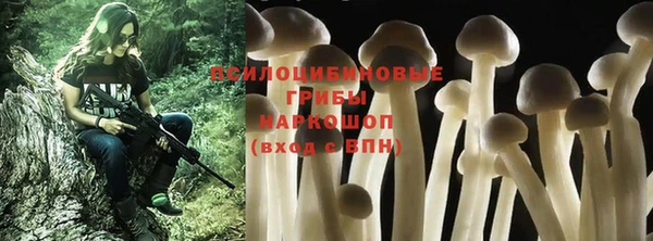 соль ск Горняк