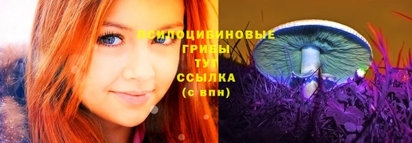 мдпв Горно-Алтайск