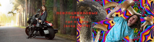 ГАЛЛЮЦИНОГЕННЫЕ ГРИБЫ Горнозаводск