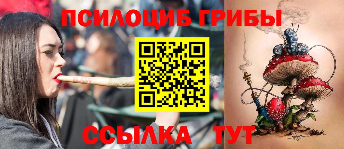 Псилоцибиновые грибы Magic Shrooms  Вход с VPN  Псилоцибиновые грибы Psilocybine cubensis  Елабуга 